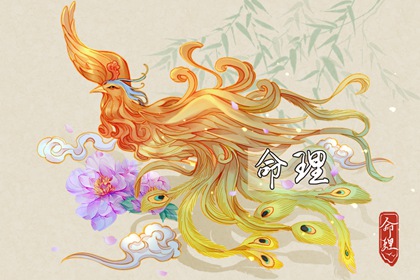 择吉黄历每日宜忌|择吉日查询|择吉皇历